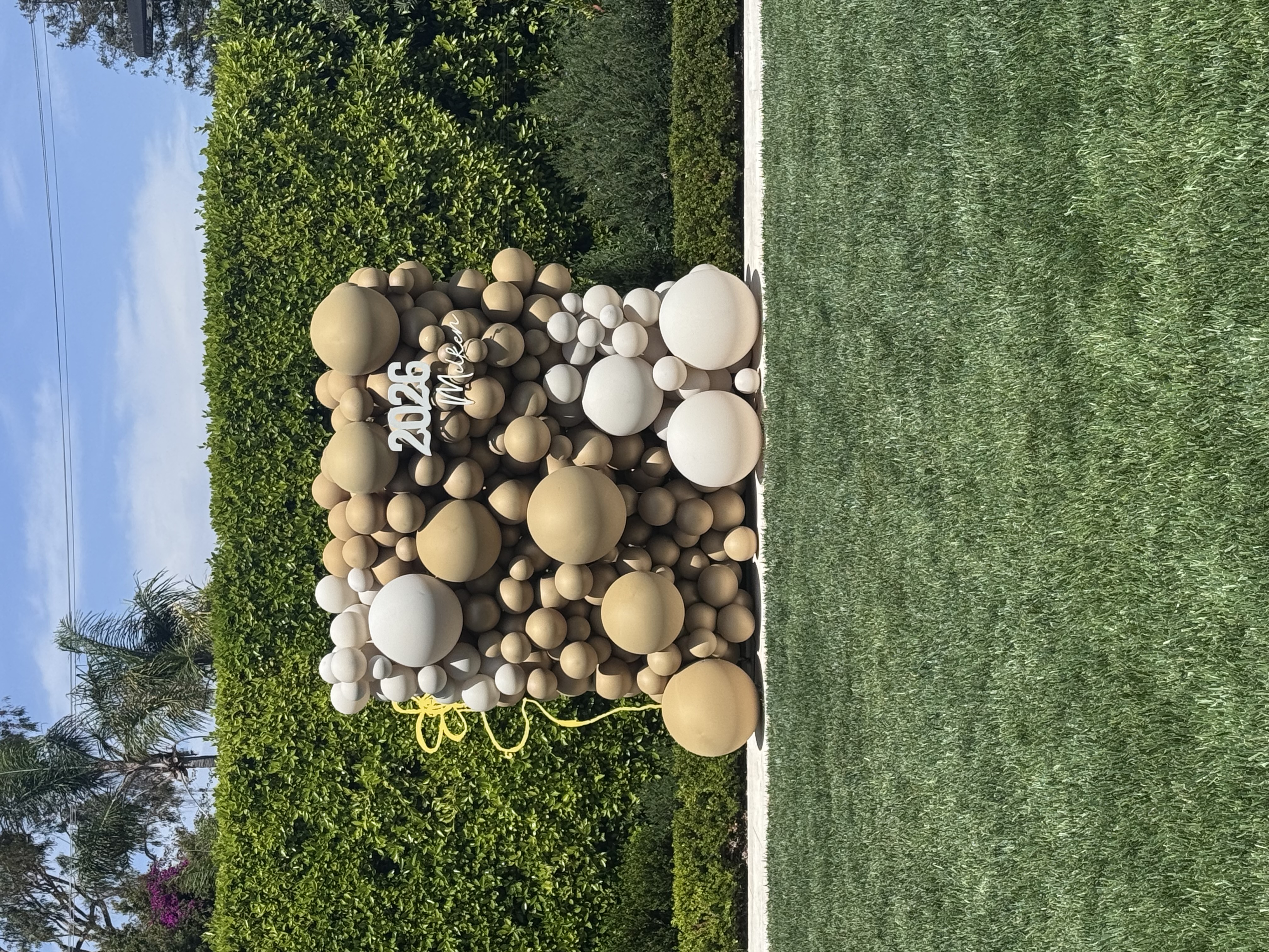 Tan and white balloon wall with a 2026 sign set outdoors against a tall hedge