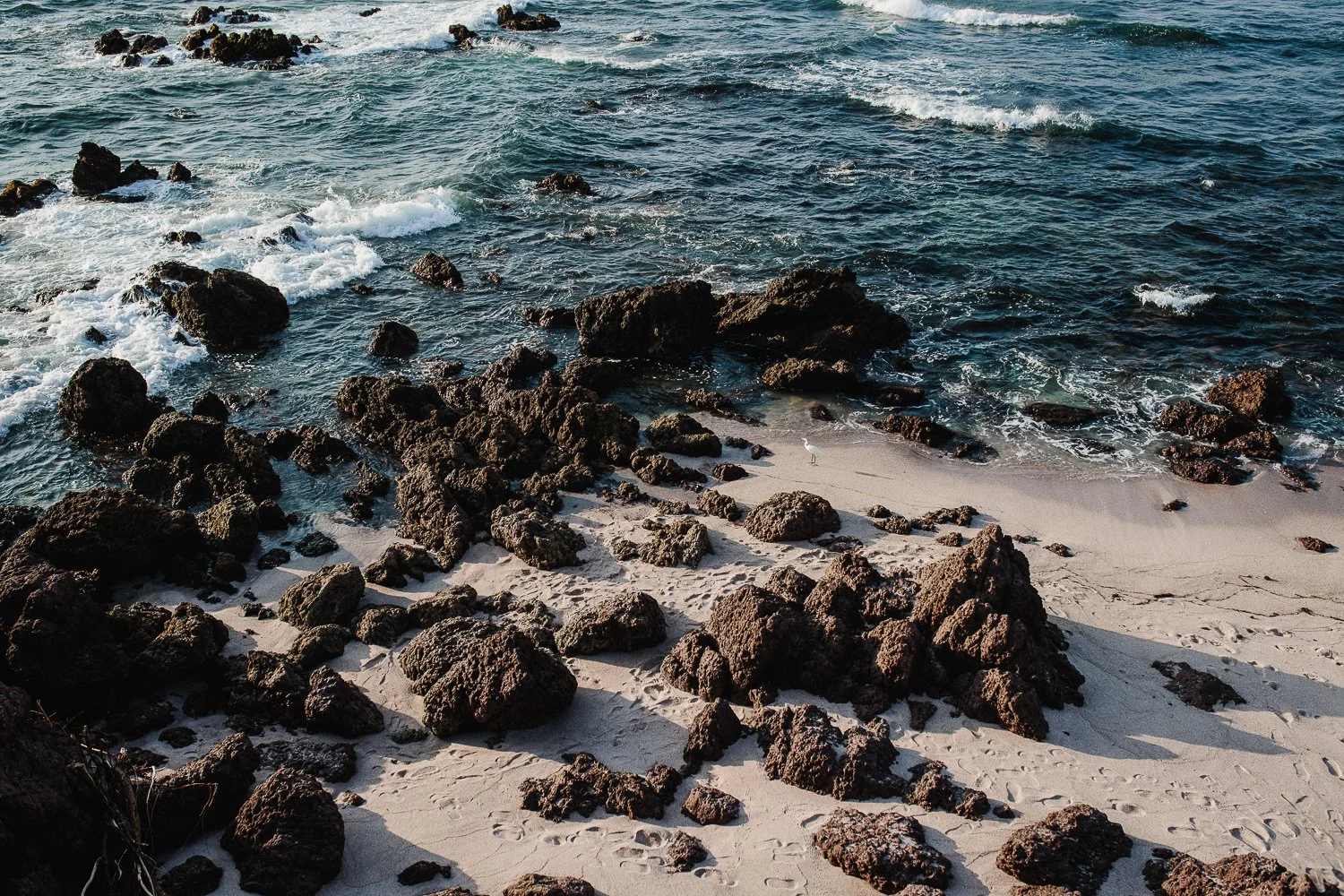 Rocky Pacific shoreline near Jean and Jennifer's Punta Mita celebration